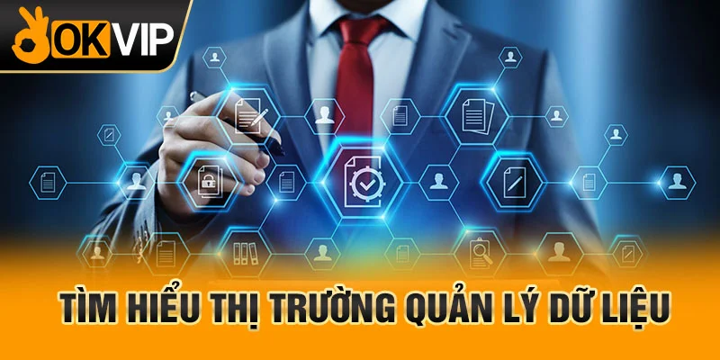 Thực trạng hiện nay của hệ thống quản lý hệ thống dữ liệu