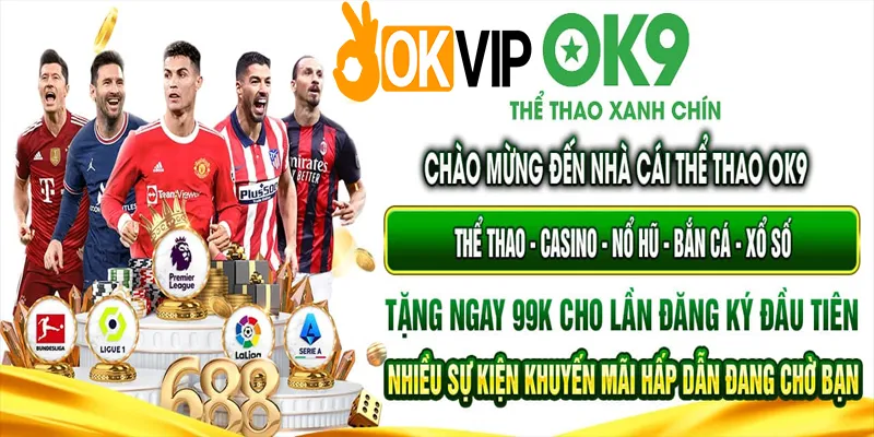 Đối Tác OK9 – Nhà Cái Sở Hữu Lượng Thành Viên Đông Đảo